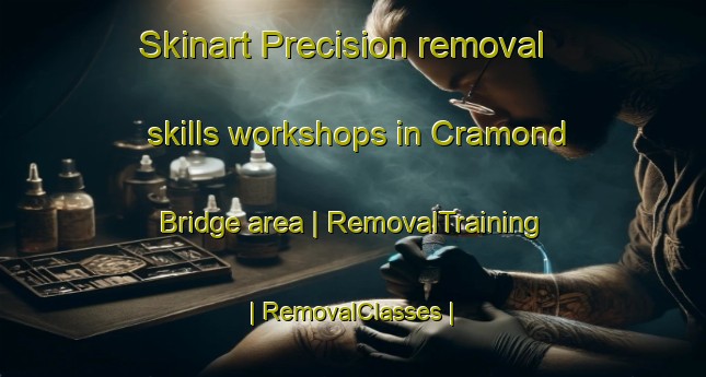 Skinart Precision removal skills workshops in Cramond Bridge area | RemovalTraining | RemovalClasses | SkinartTraining-United Kingdom
